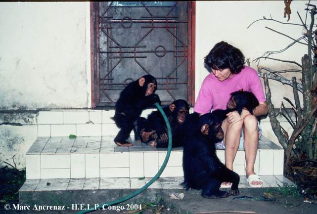 Aliette Jamart et des bébés chimpanzés