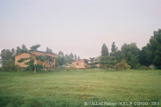The same bungalows, but surrounded by trees in 2003