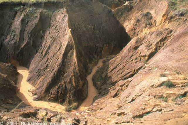 After deforestation, the erosion of the ground can be very intense and fast