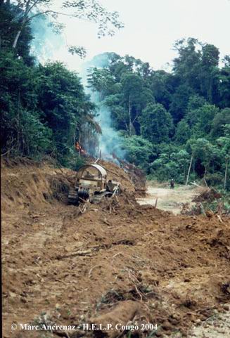 Building site of deforestation