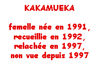 Kakamueka