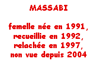 Massabi