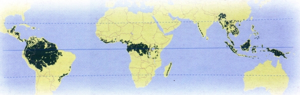 Map of the world repartition of the wet tropical forest