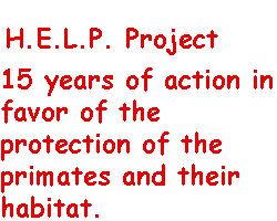 Projet_HELP